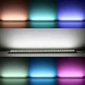 Triple Line RGBW LED Tape | 70x mehrfarbige 5050 RGB LEDs & 140x weiße 2835 CRI90+ LEDs je Meter | 120° 24V DC |