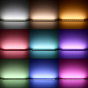 RGB & DUAL CCT LED Band – 60 × 5in1 5050 LEDs RGB Farbwechsel, weiß und warmweiß – 19.2 W – 1000 lm/m – 120° 24V DC