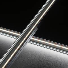 High-CRI LED-Lichtleiste Slim-Line max – klar – 420 × 1808 LEDs – 20 W – 2300 lm/m – tageslichtweiß – CRI 95+ 24V DC 120°